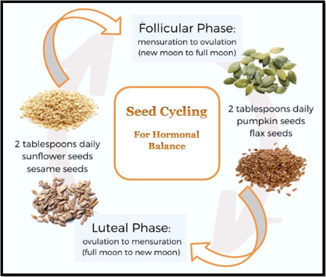 What is Seed Cycling?